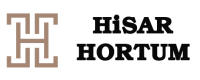 Hisar Hortum